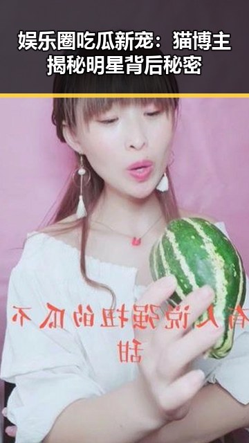 娱乐圈吃瓜新宠：猫博主揭秘明星背后秘密