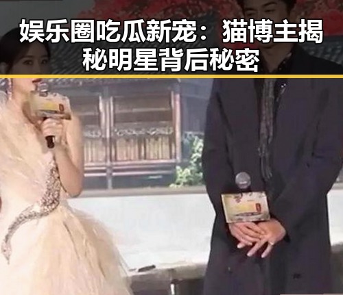 娱乐圈吃瓜新宠：猫博主揭秘明星背后秘密